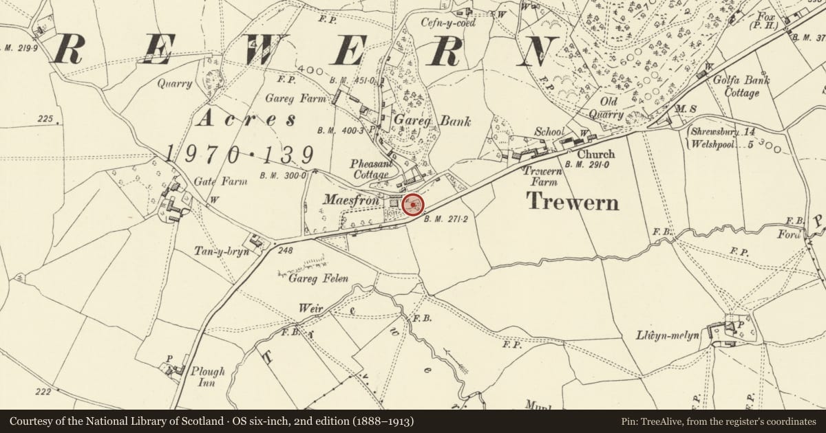 Ordnance Survey six-inch map, 2nd edition (1888–1913) covering the location of Gazebo at Maesfron, Trewern, Powys, with a pin at the register's coordinates