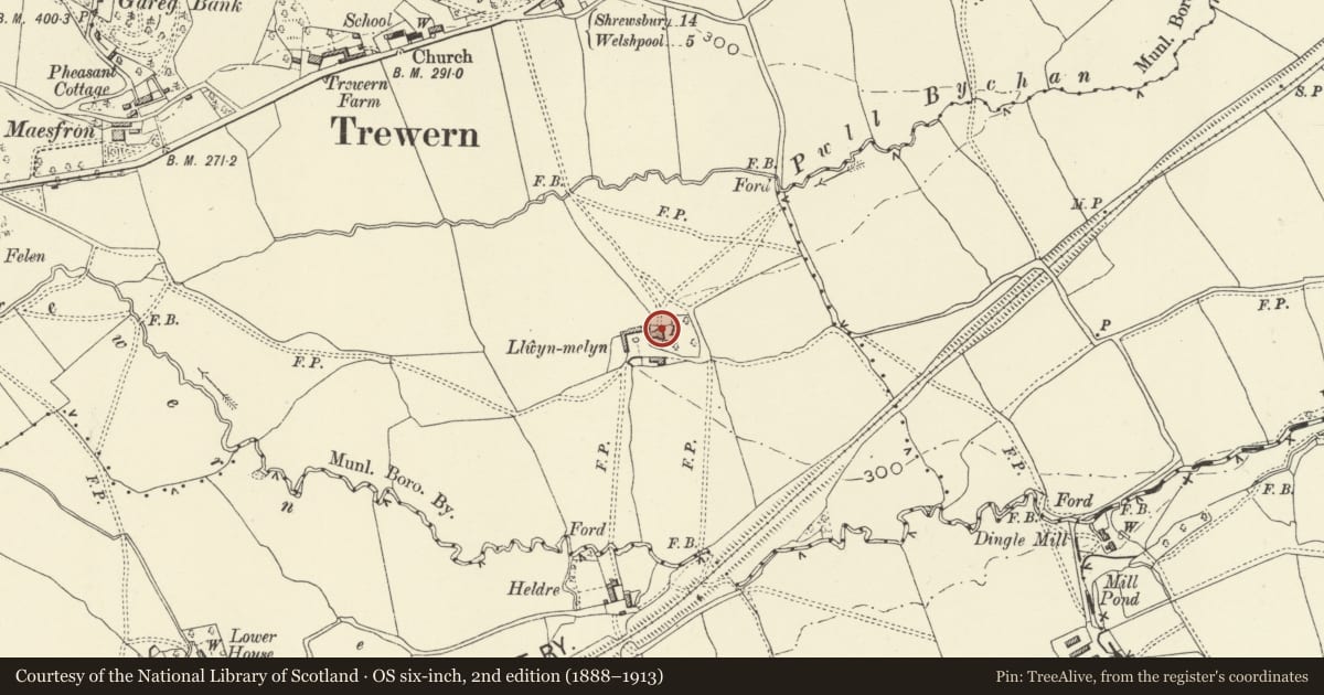 Ordnance Survey six-inch map, 2nd edition (1888–1913) covering the location of Llwyn Melyn Farmhouse, Trewern, Powys, with a pin at the register's coordinates