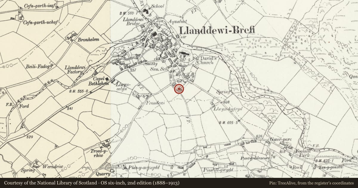 Ordnance Survey six-inch map, 2nd edition (1888–1913) covering the location of 1 Penuwch Street, Llanddewi Brefi, Ceredigion, with a pin at the register's coordinates