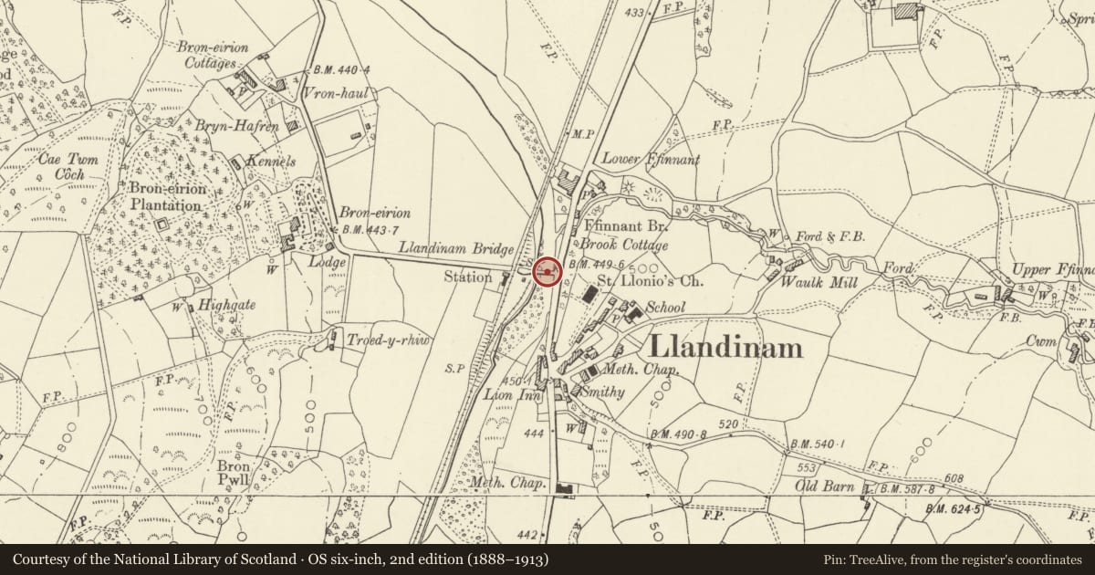Ordnance Survey six-inch map, 2nd edition (1888–1913) covering the location of Llandinam Bridge, Powys, with a pin at the register's coordinates
