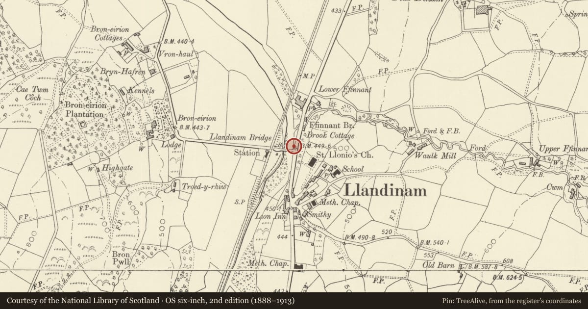 Ordnance Survey six-inch map, 2nd edition (1888–1913) covering the location of Statue and pedestal, to David Davies of Llandinam, Powys, with a pin at the register's coordinates