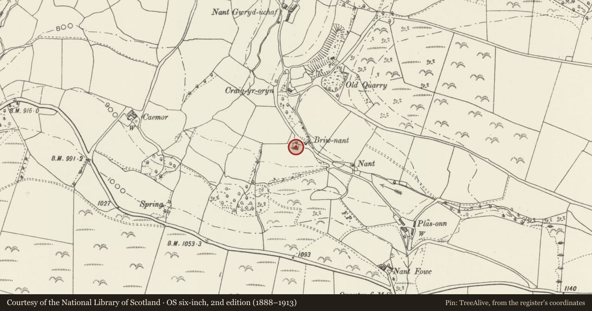 Ordnance Survey six-inch map, 2nd edition (1888–1913) covering the location of Briwnant Farmhouse, Glyntraian, Wrexham, with a pin at the register's coordinates