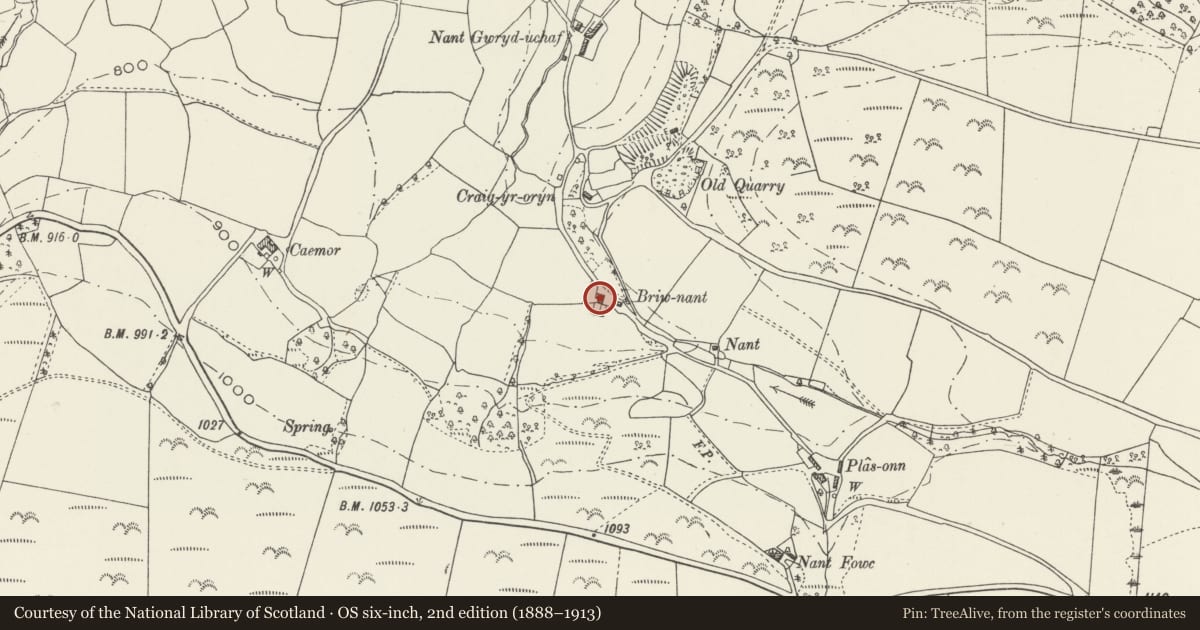 Ordnance Survey six-inch map, 2nd edition (1888–1913) covering the location of Multi-purpose Farm Building at Briwnant Farm, Glyntraian, Wrexham, with a pin at the register's coordinates