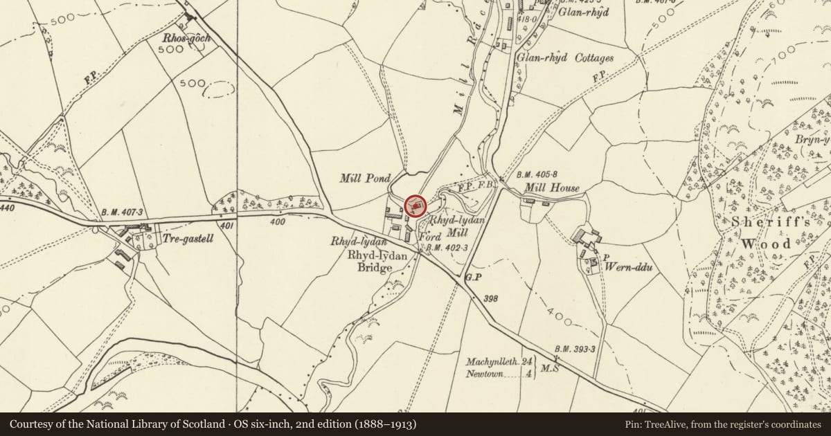 Ordnance Survey six-inch map, 2nd edition (1888–1913) covering the location of Rhydlydan Mill, Caersws, Powys, with a pin at the register's coordinates