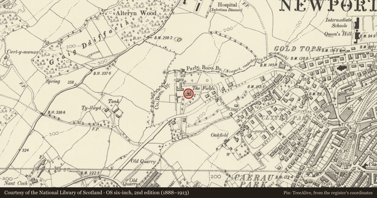 Ordnance Survey six-inch map, 2nd edition (1888–1913) covering the location of The Fields, Allt-yr-Yn, Newport, with a pin at the register's coordinates