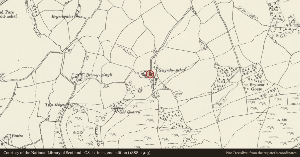 Ordnance Survey six-inch map, 2nd edition (1888–1913) covering the location of Gwyndy Uchaf, Betws Yn Rhos, Conwy, with a pin at the register's coordinates