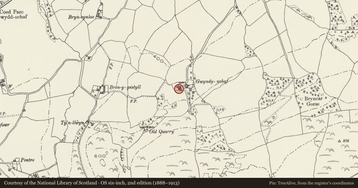 Ordnance Survey six-inch map, 2nd edition (1888–1913) covering the location of Agricultural Range at Gwyndy Uchaf, Betws Yn Rhos, Conwy, with a pin at the register's coordinates