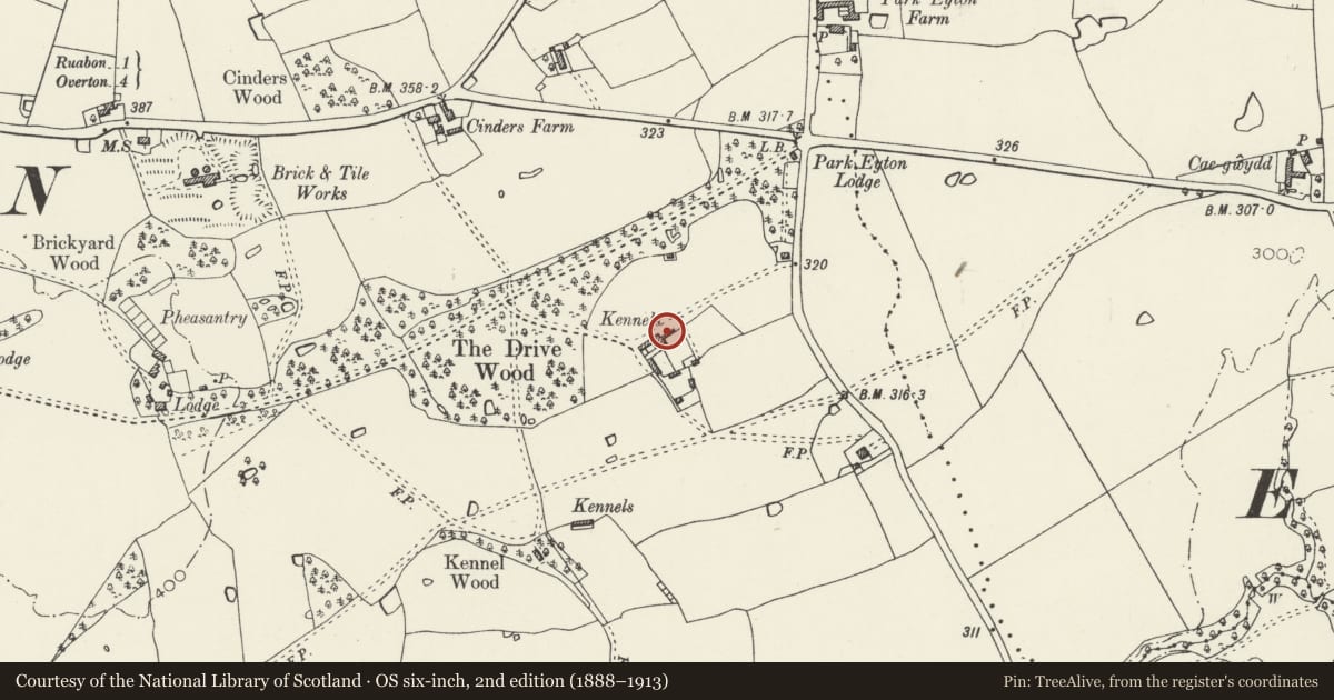 Ordnance Survey six-inch map, 2nd edition (1888–1913) covering the location of Wynnstay Kennels (Including Valeting House and Attached Courtyard Buildings and Boundary Walls), Ruabon, Wrexham, with a pin at the register's coordinates