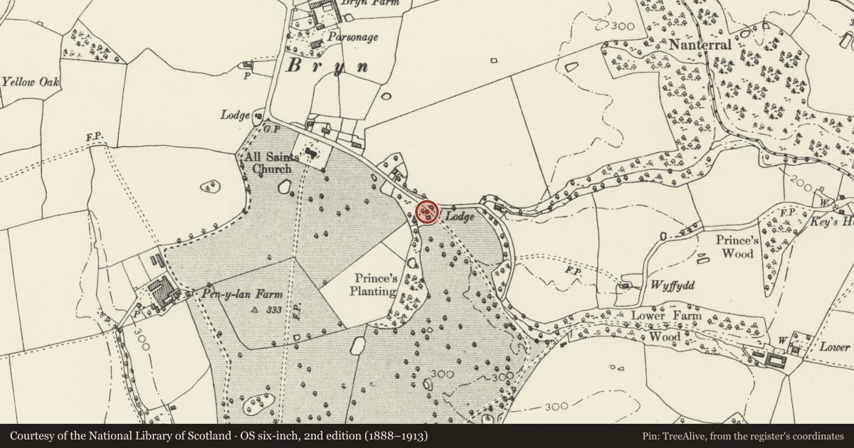 Ordnance Survey six-inch map, 2nd edition (1888–1913) covering the location of Front Lodge, Ruabon, Wrexham, with a pin at the register's coordinates