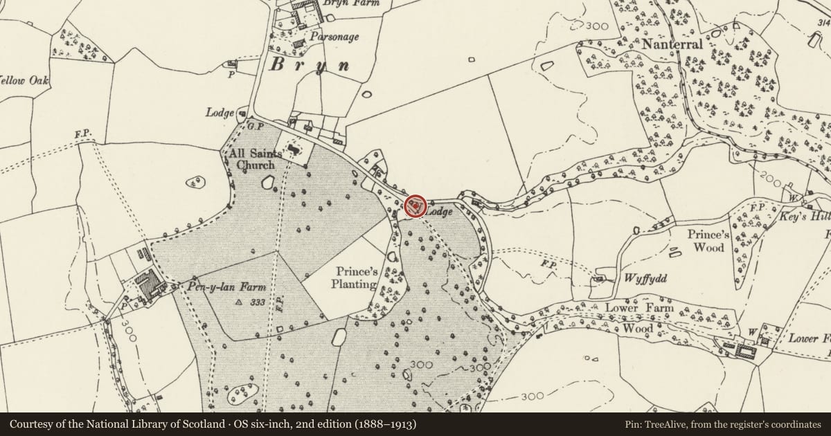 Ordnance Survey six-inch map, 2nd edition (1888–1913) covering the location of Gate Piers and Gates beside Front Lodge, Ruabon, Wrexham, with a pin at the register's coordinates