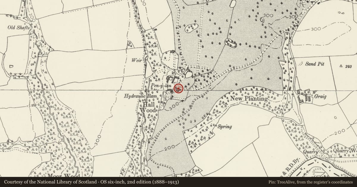 Ordnance Survey six-inch map, 2nd edition (1888–1913) covering the location of Pen-Y-Lan Hall, Ruabon, Wrexham, with a pin at the register's coordinates