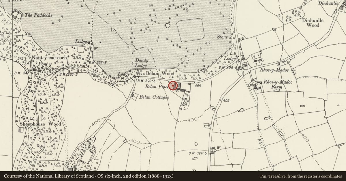Ordnance Survey six-inch map, 2nd edition (1888–1913) covering the location of Belan Place, Ruabon, Wrexham, with a pin at the register's coordinates