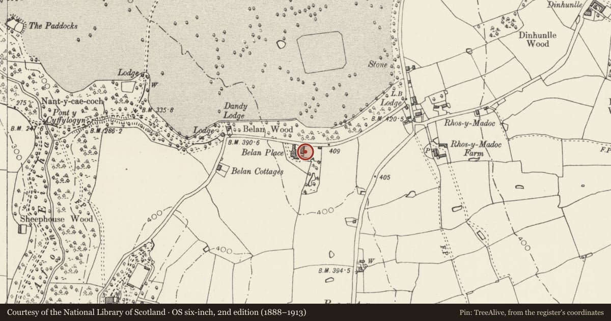Ordnance Survey six-inch map, 2nd edition (1888–1913) covering the location of Terrier Kennels at Belan Place, Ruabon, Wrexham, with a pin at the register's coordinates