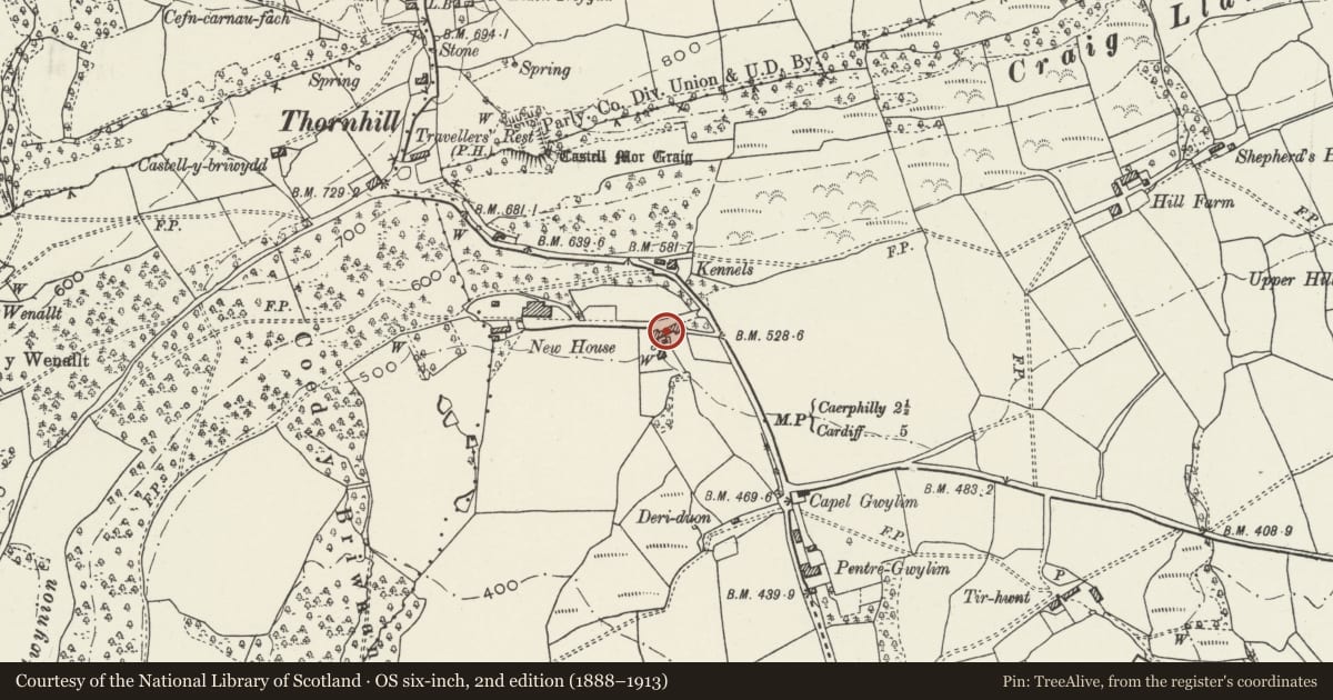 Ordnance Survey six-inch map, 2nd edition (1888–1913) covering the location of The Long Barn and attached courtyard wall, gates and railings, Rhiwbina, Cardiff, with a pin at the register's coordinates