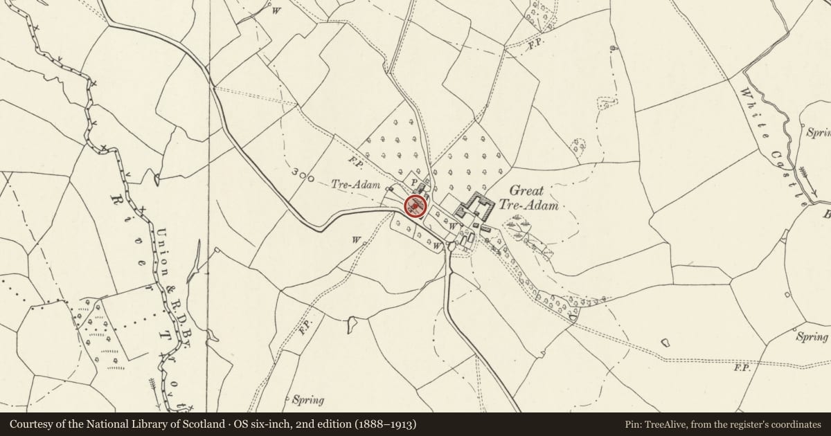 Ordnance Survey six-inch map, 2nd edition (1888–1913) covering the location of The Old Cottage, Whitecastle, Monmouthshire, with a pin at the register's coordinates