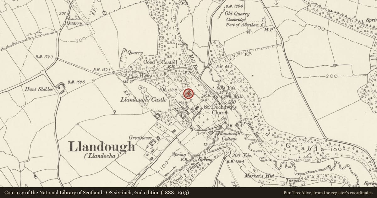 Ordnance Survey six-inch map, 2nd edition (1888–1913) covering the location of Llandough Castle Flats, Llanfair, Vale of Glamorgan, with a pin at the register's coordinates