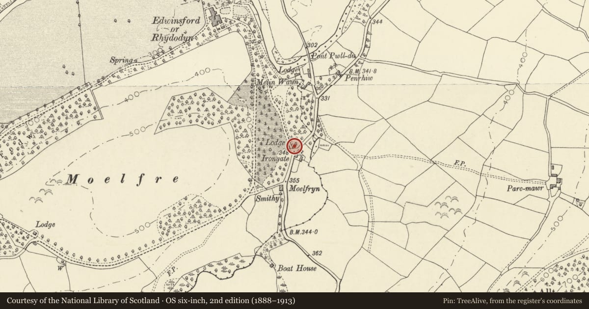 Ordnance Survey six-inch map, 2nd edition (1888–1913) covering the location of Gate Piers & Gates to Edwinsford Mansion at Irongate Lodge, Talley, Carmarthenshire, with a pin at the register's coordinates