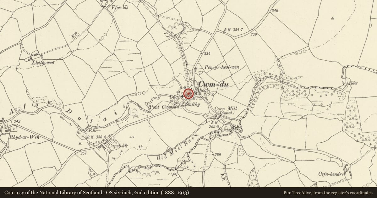 Ordnance Survey six-inch map, 2nd edition (1888–1913) covering the location of Inn (Rhyderonnen), Talley, Carmarthenshire, with a pin at the register's coordinates
