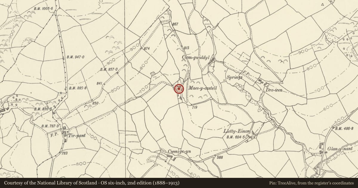 Ordnance Survey six-inch map, 2nd edition (1888–1913) covering the location of Maescastell (former Farmhouse), Talley, Carmarthenshire, with a pin at the register's coordinates