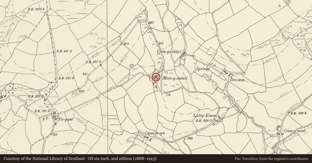 Ordnance Survey six-inch map, 2nd edition (1888–1913) covering the location of Maescastell (attached Byre), Talley, Carmarthenshire, with a pin at the register's coordinates