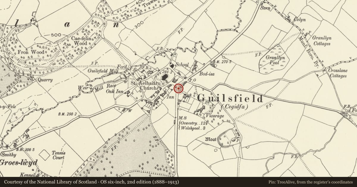 Ordnance Survey six-inch map, 2nd edition (1888–1913) covering the location of Public Water Fountain, Guilsfield, Powys, with a pin at the register's coordinates