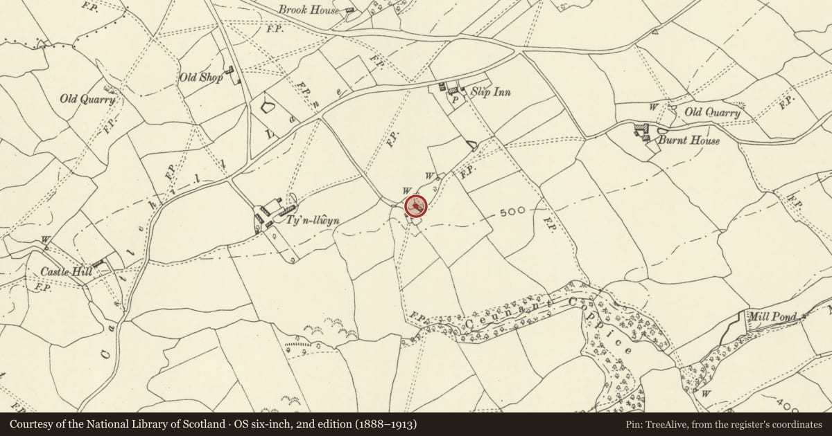 Ordnance Survey six-inch map, 2nd edition (1888–1913) covering the location of Burgedin Farmhouse, Guilsfield, Powys, with a pin at the register's coordinates