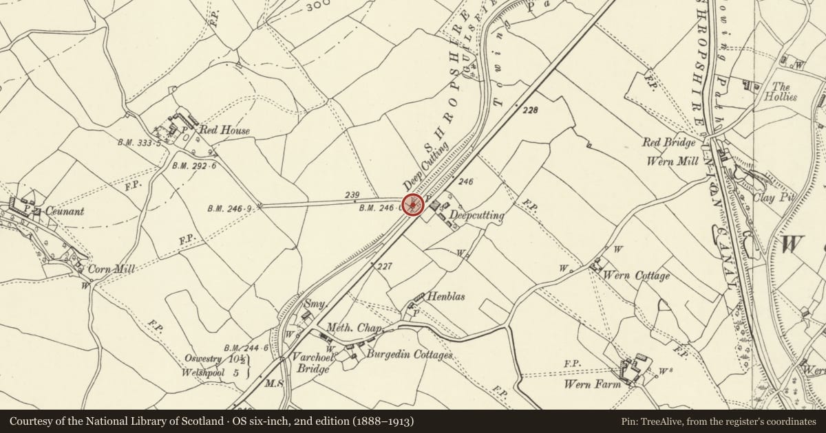 Ordnance Survey six-inch map, 2nd edition (1888–1913) covering the location of Deep Cutting Bridge, Guilsfield, Powys, with a pin at the register's coordinates