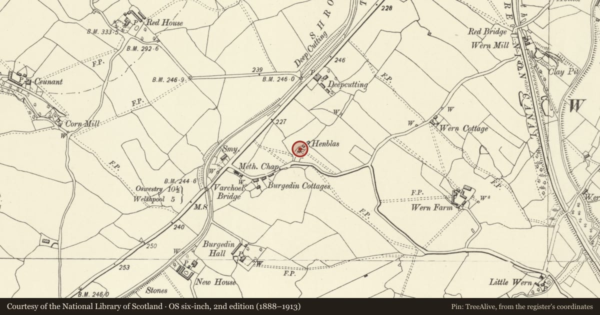 Ordnance Survey six-inch map, 2nd edition (1888–1913) covering the location of Hen Blas, Guilsfield, Powys, with a pin at the register's coordinates