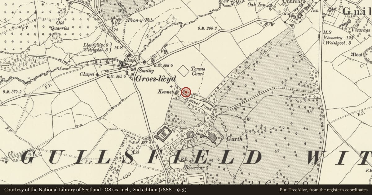 Ordnance Survey six-inch map, 2nd edition (1888–1913) covering the location of Gates and Gate Piers at the former E entrance to Garth, Guilsfield, Powys, with a pin at the register's coordinates