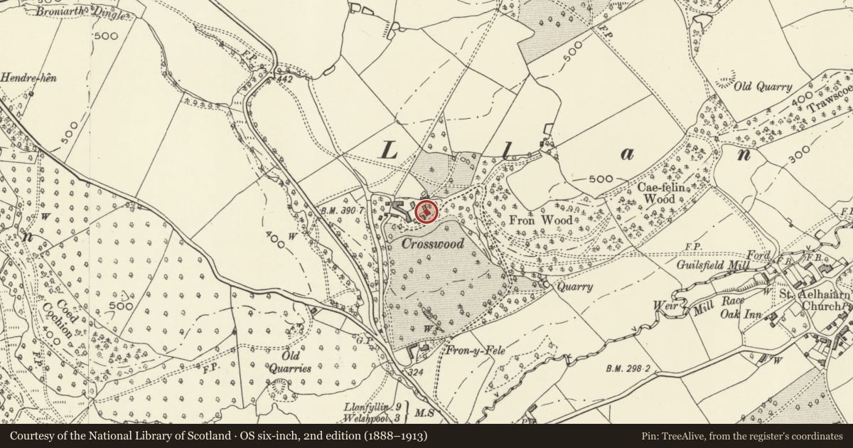 Ordnance Survey six-inch map, 2nd edition (1888–1913) covering the location of Stable building at rear of Trawscoed Hall, Guilsfield, Powys, with a pin at the register's coordinates