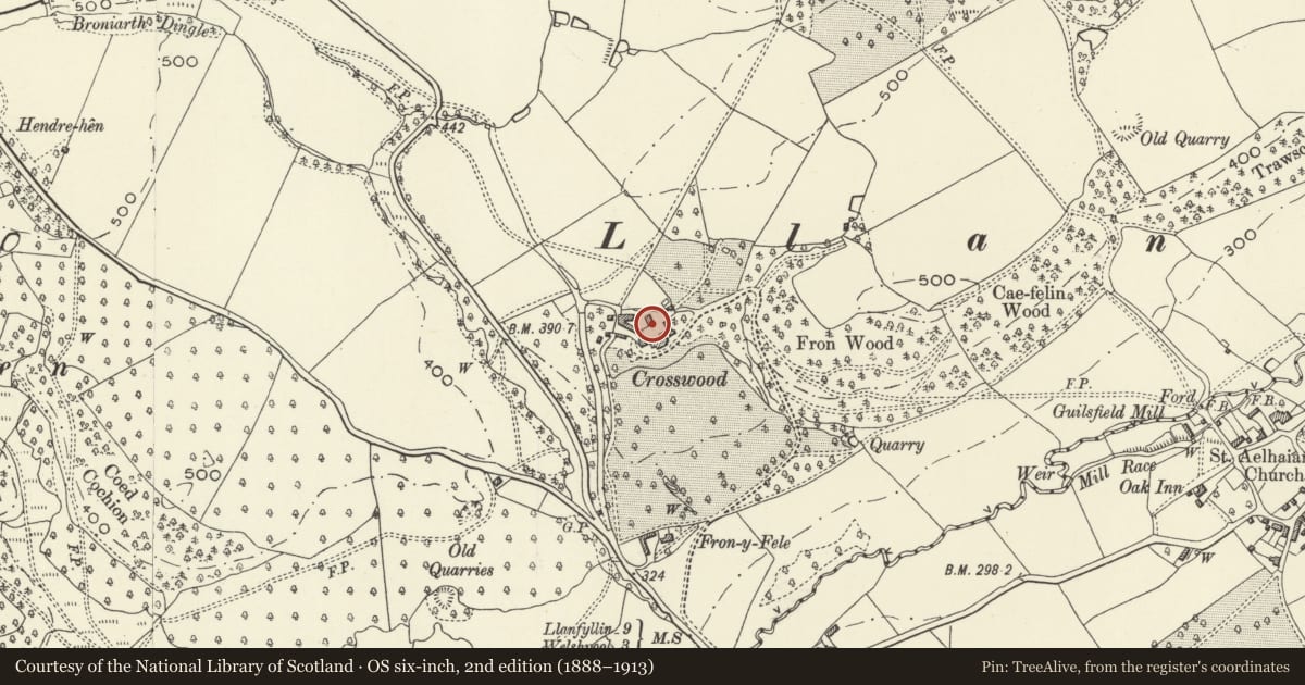 Ordnance Survey six-inch map, 2nd edition (1888–1913) covering the location of Granary and Dovecote at Trawscoed Hall, Guilsfield, Powys, with a pin at the register's coordinates