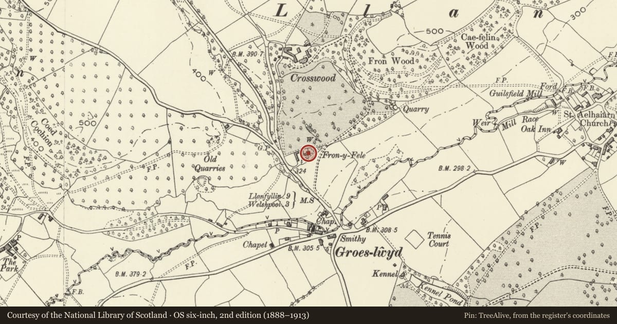 Ordnance Survey six-inch map, 2nd edition (1888–1913) covering the location of Fron-y-Fele, Guilsfield, Powys, with a pin at the register's coordinates
