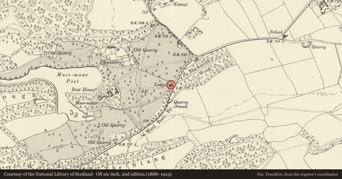 Ordnance Survey six-inch map, 2nd edition (1888–1913) covering the location of Lodge to Maesmawr Hall (including Gate Piers), Guilsfield, Powys, with a pin at the register's coordinates