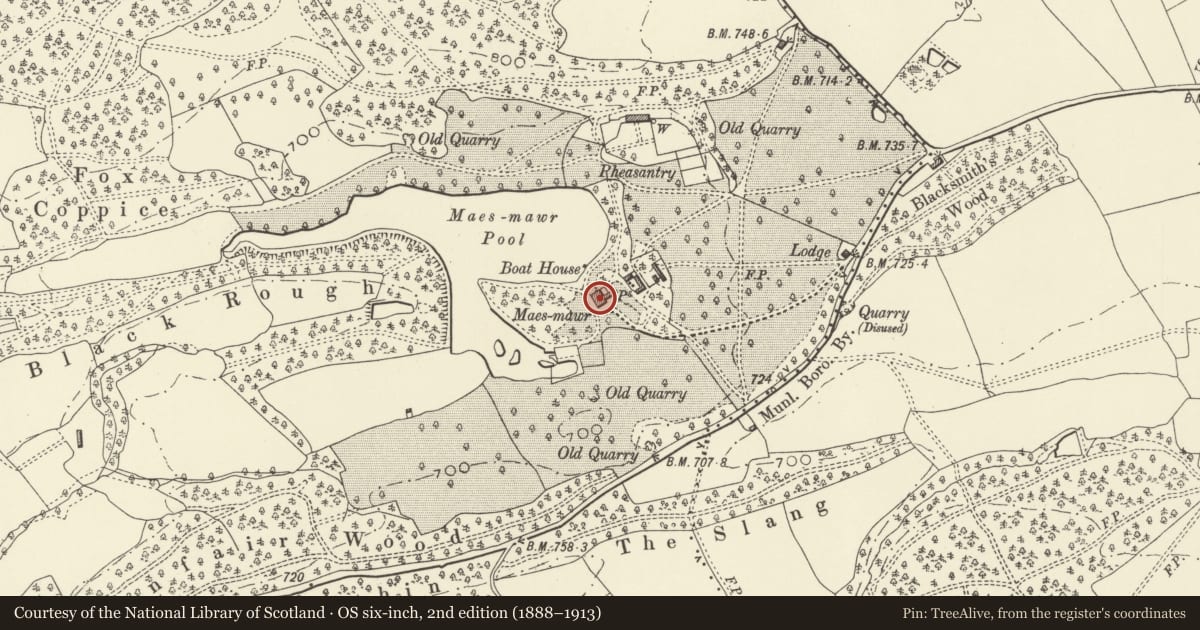 Ordnance Survey six-inch map, 2nd edition (1888–1913) covering the location of Maesmawr Hall, Guilsfield, Powys, with a pin at the register's coordinates