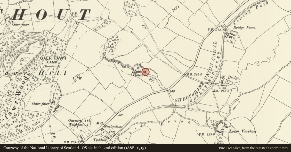 Ordnance Survey six-inch map, 2nd edition (1888–1913) covering the location of Ty Canol, Guilsfield, Powys, with a pin at the register's coordinates