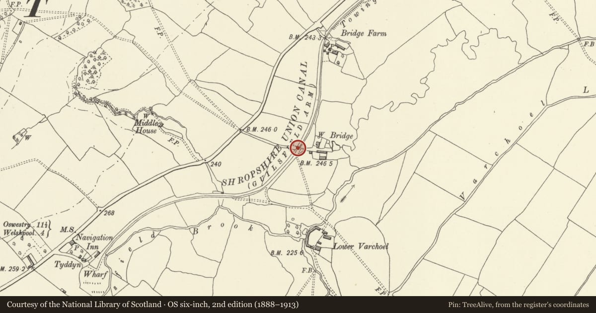 Ordnance Survey six-inch map, 2nd edition (1888–1913) covering the location of Canal Bridge on Roadway to the Bridge, Guilsfield, Powys, with a pin at the register's coordinates