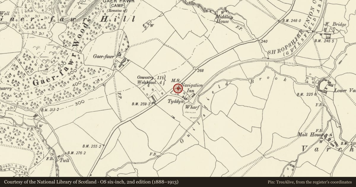 Ordnance Survey six-inch map, 2nd edition (1888–1913) covering the location of March House, Guilsfield, Powys, with a pin at the register's coordinates