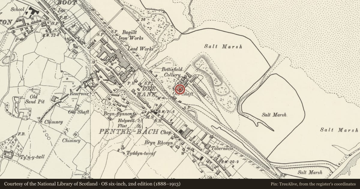 Ordnance Survey six-inch map, 2nd edition (1888–1913) covering the location of Bettisfield Colliery Winding Engine House and Heapstead, Bagillt, Flintshire, with a pin at the register's coordinates