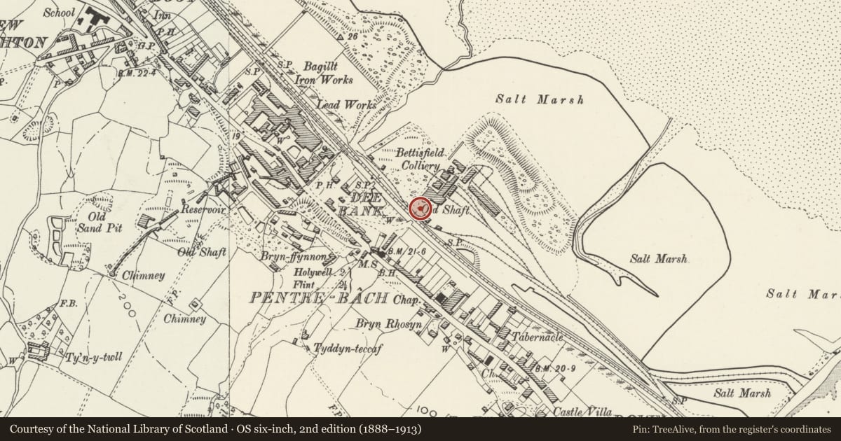 Ordnance Survey six-inch map, 2nd edition (1888–1913) covering the location of Bettisfield Colliery Lamp Room, Bagillt, Flintshire, with a pin at the register's coordinates