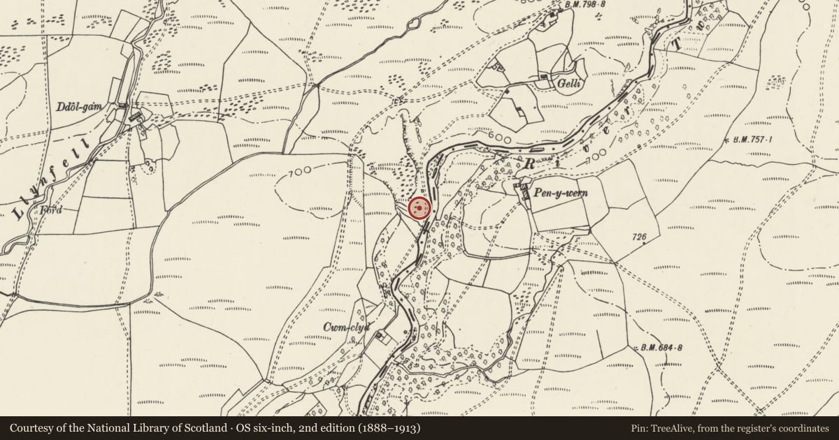 Ordnance Survey six-inch map, 2nd edition (1888–1913) covering the location of Henllys Vale Colliery Limekilns, Quarter Bach, Carmarthenshire, with a pin at the register's coordinates