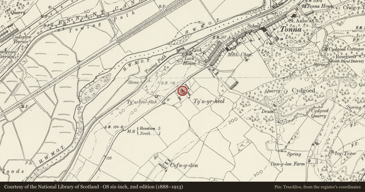 Ordnance Survey six-inch map, 2nd edition (1888–1913) covering the location of Tyn yr Heol, Tonna, Neath Port Talbot, with a pin at the register's coordinates