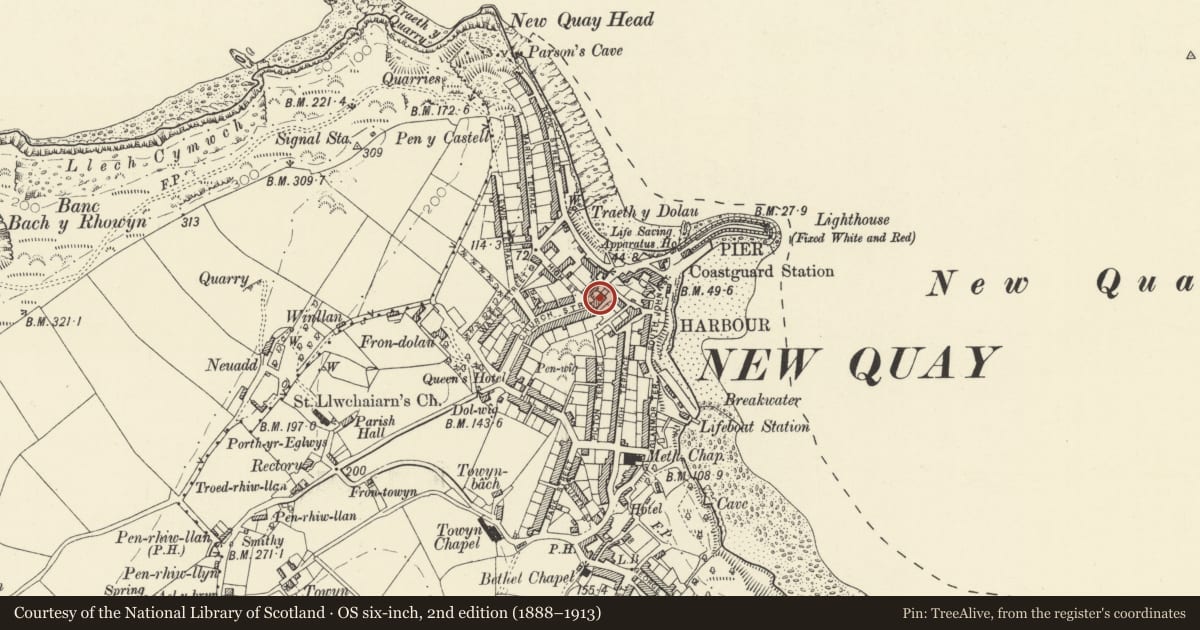 Ordnance Survey six-inch map, 2nd edition (1888–1913) covering the location of No 2 Spring Gardens, New Quay, Ceredigion, with a pin at the register's coordinates