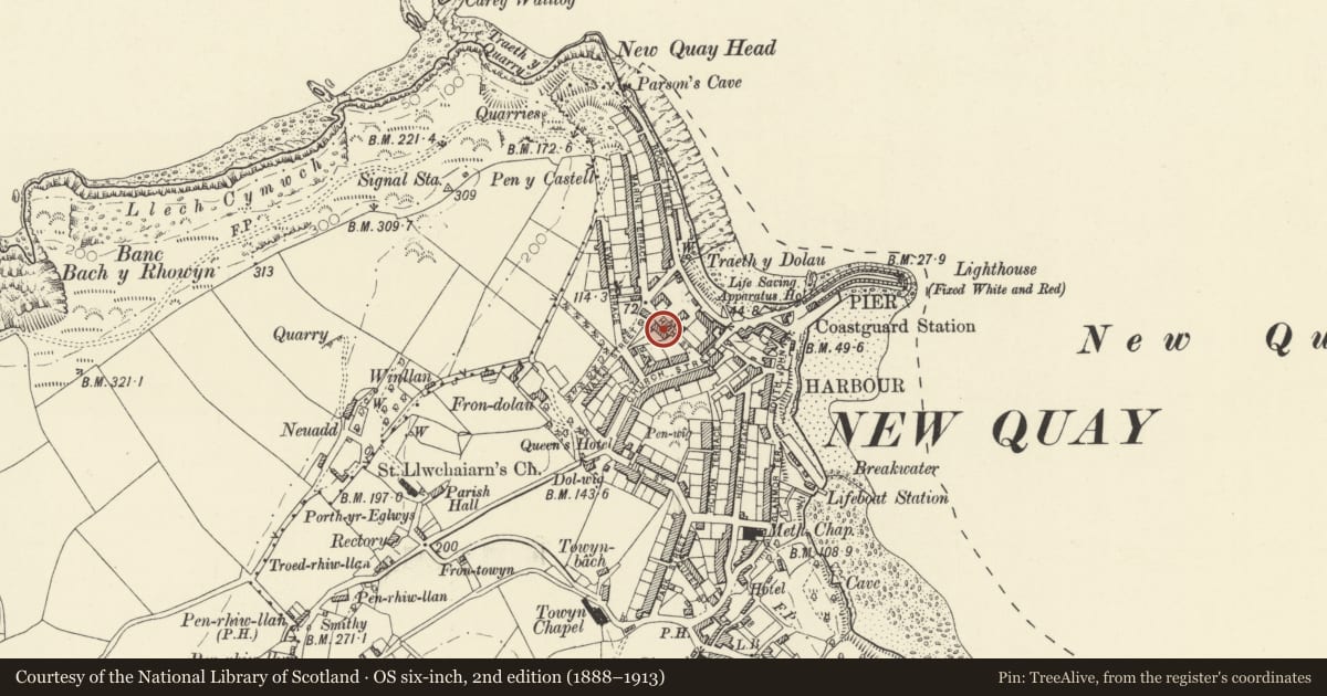 Ordnance Survey six-inch map, 2nd edition (1888–1913) covering the location of 2 High Street, New Quay, Ceredigion, with a pin at the register's coordinates