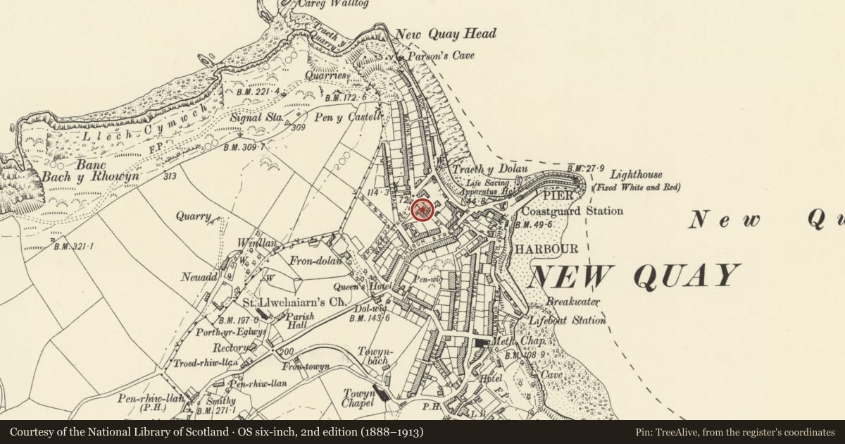 Ordnance Survey six-inch map, 2nd edition (1888–1913) covering the location of 3 High Street, New Quay, Ceredigion, with a pin at the register's coordinates