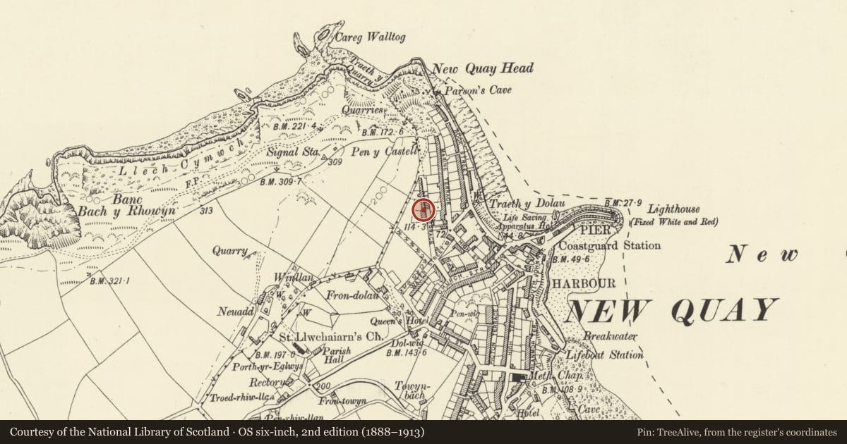 Ordnance Survey six-inch map, 2nd edition (1888–1913) covering the location of 2 Lewis Terrace, New Quay, Ceredigion, with a pin at the register's coordinates