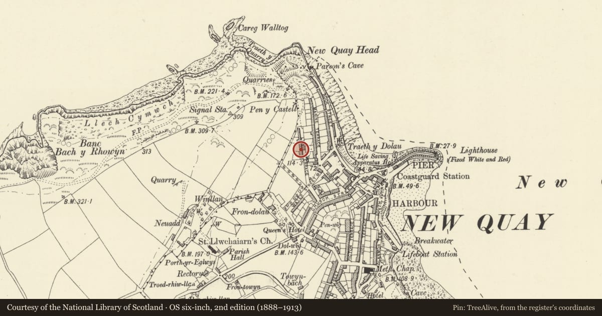 Ordnance Survey six-inch map, 2nd edition (1888–1913) covering the location of 3 Lewis Terrace, New Quay, Ceredigion, with a pin at the register's coordinates