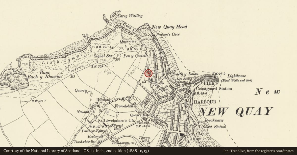 Ordnance Survey six-inch map, 2nd edition (1888–1913) covering the location of Bryn Padarn, New Quay, Ceredigion, with a pin at the register's coordinates