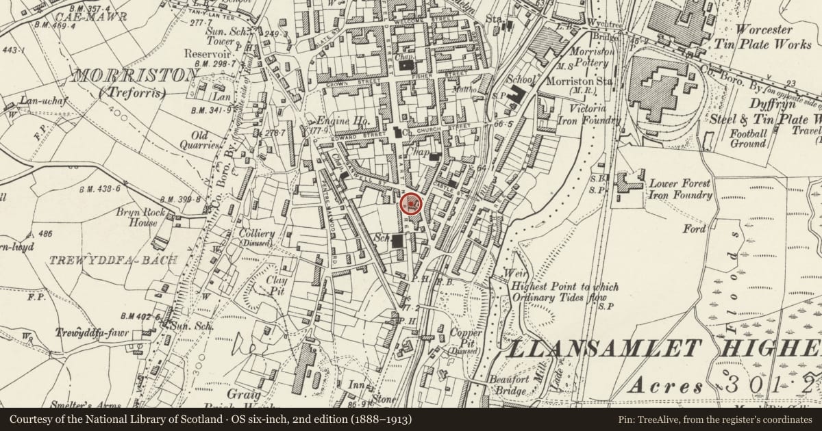 Ordnance Survey six-inch map, 2nd edition (1888–1913) covering the location of House, Morriston, Swansea, with a pin at the register's coordinates