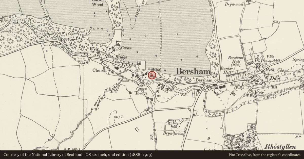 Ordnance Survey six-inch map, 2nd edition (1888–1913) covering the location of Octagonal Building at Bersham Ironworks Site, Esclusham, Wrexham, with a pin at the register's coordinates