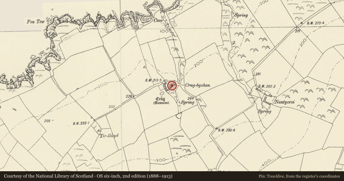Ordnance Survey six-inch map, 2nd edition (1888–1913) covering the location of Crug Farmhouse Crug Farm, Y Ferwig, Ceredigion, with a pin at the register's coordinates